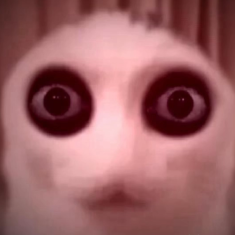 Jarowczak