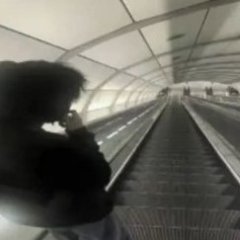vermy