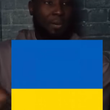 gownowczajniku1312