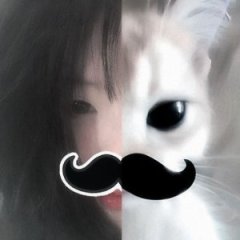 lisu